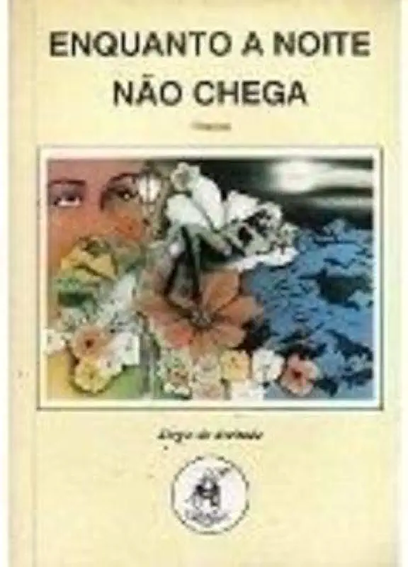 Capa do Livro Enquanto a Noite Não Chega - Sérgio de Andrade