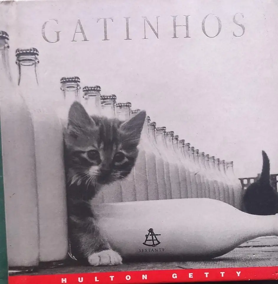 Capa do Livro Gatinhos - Hulton Getty