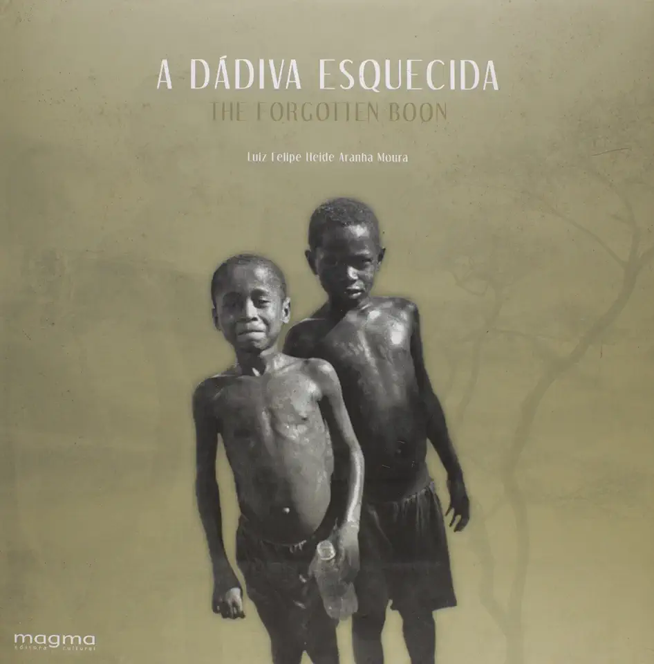 Capa do Livro A Dádiva Esquecida (the Forgotten Boon) - Luiz Felipe Heide Aranha Moura