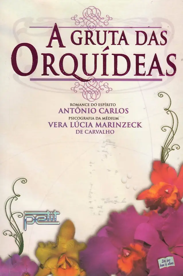 Capa do Livro A Gruta das Orquídeas - Vera Lúcia Marinzeck de Carvalho