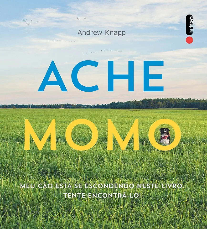 Capa do Livro ACHE MOMO - KNAPP ANDREW