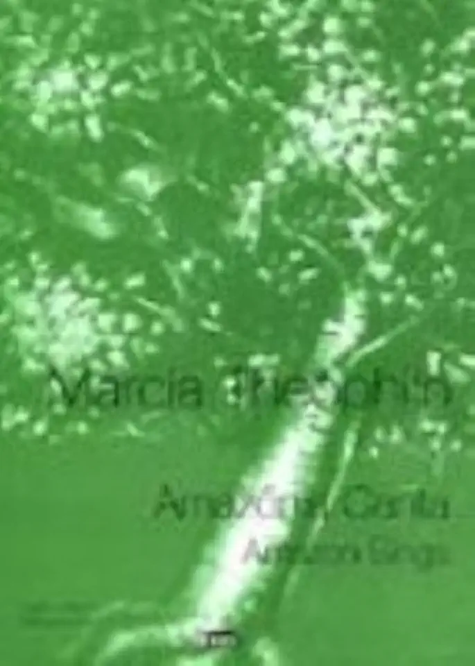 Capa do Livro Amazônia Canta - Amazon Sings - Márcia Theóphilo